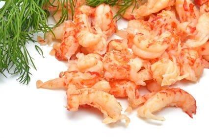 Eine Portion frischer, roher Flusskrebsschwänze garniert mit Dill auf einem weißen Untergrund