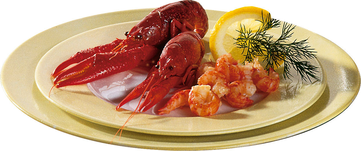 Servierteller mit Flusskrebsen, Garnelen, Zitronenscheibe und Dill-Garnitur