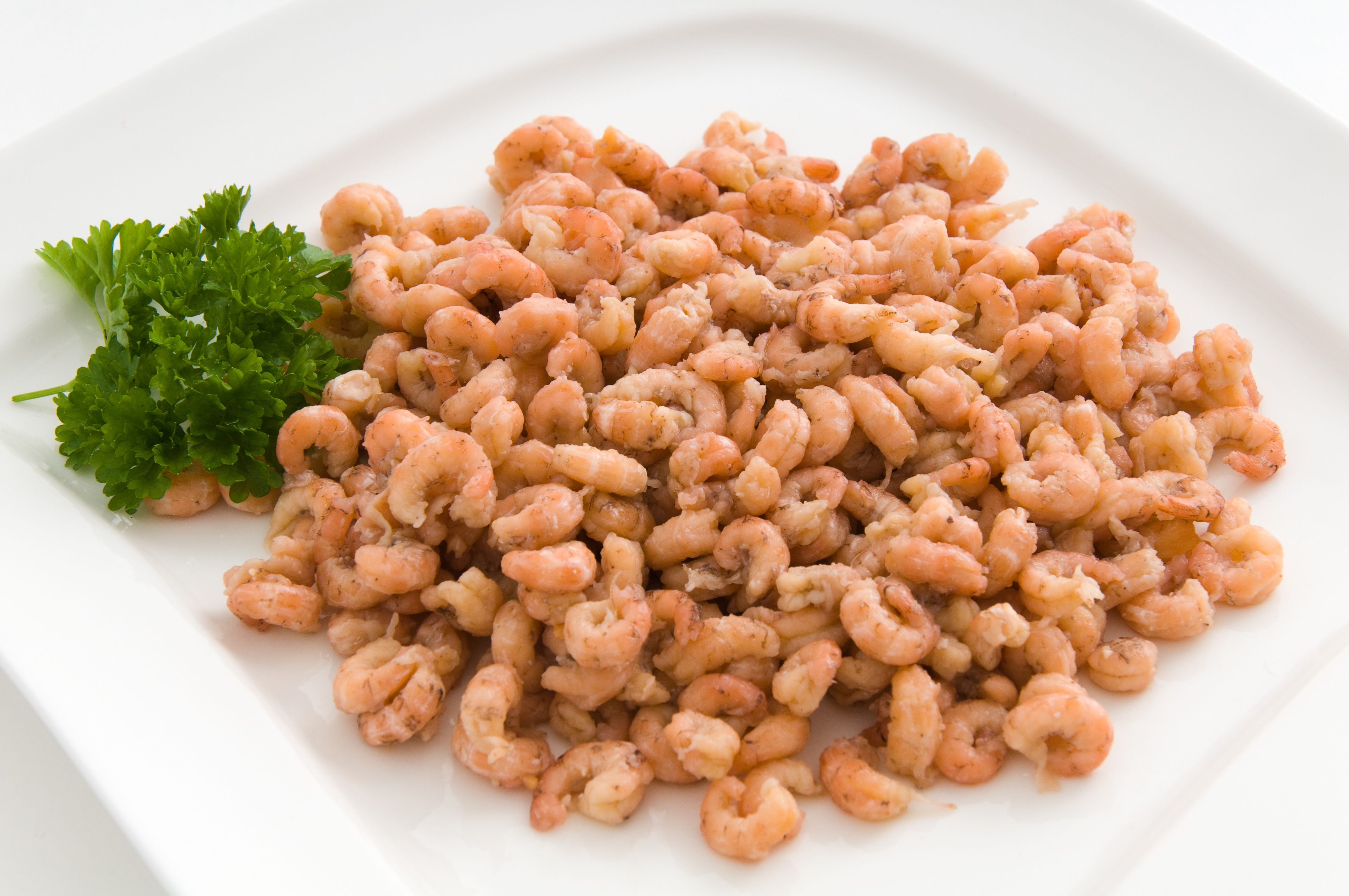 Nordseekrabbenfleisch Premium, gepulte Nordseekrabben, frisch, 100g pro Schale