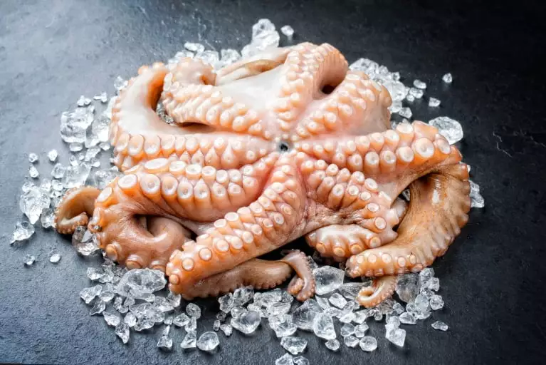 ganzer roher Oktopus auf Eiswürfeln auf dunklem Stein