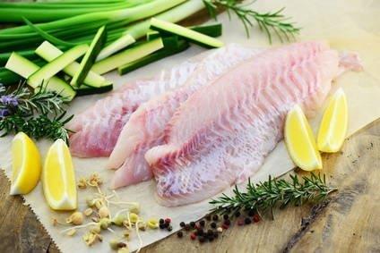 Rohe Fischfilets auf Pergamentpapier mit Zitronenscheiben, grünen Kräutern und Zucchinistreifen arrangiert