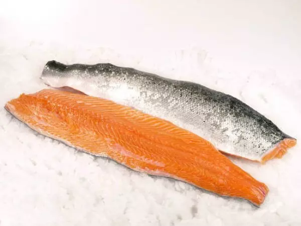 frisches Lachsfilet mit Haut auf Eis