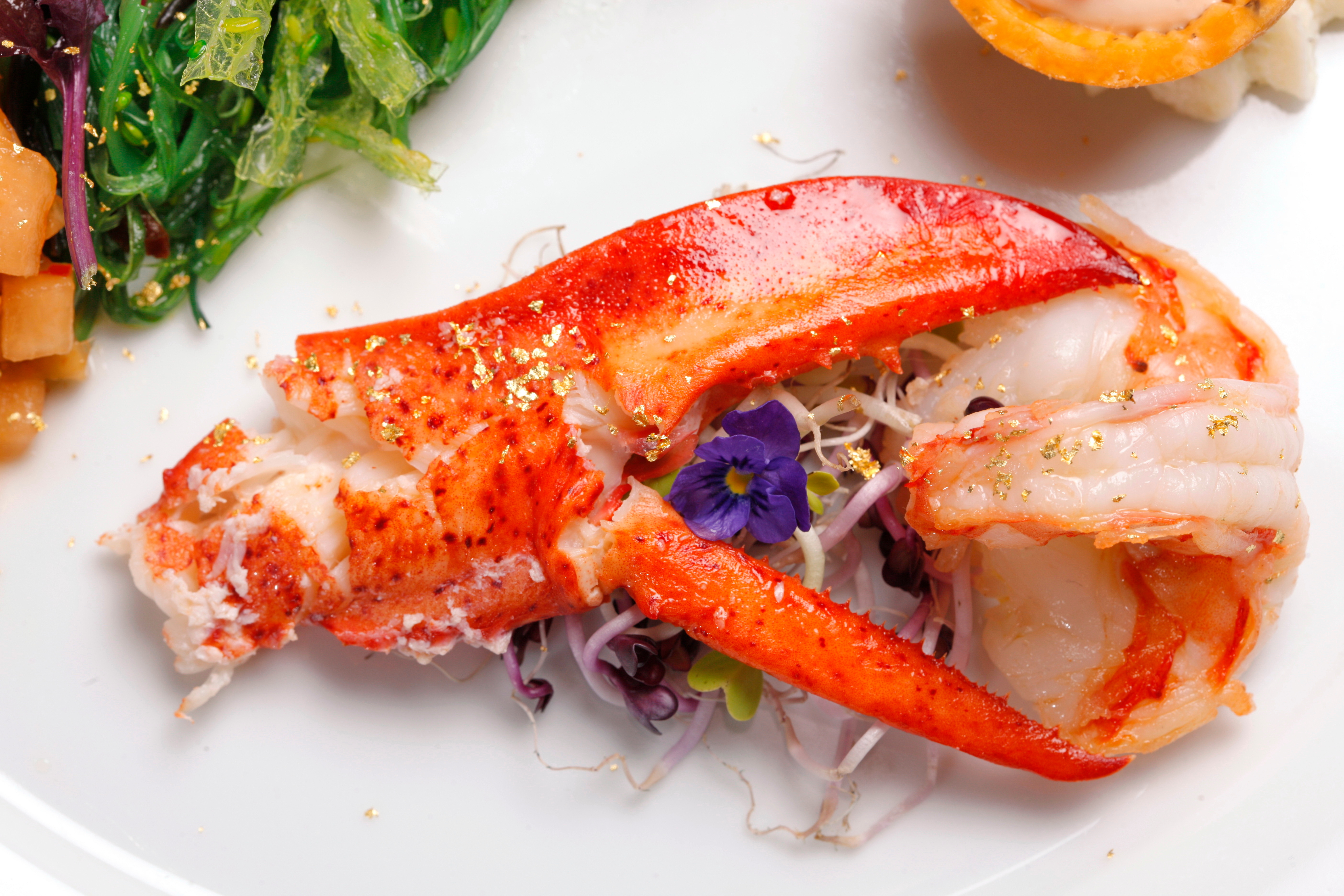 Luxuriöse Hummerkralle mit essbarem Blattgold und Salatbeilage Gourmetgericht mit Hummerkralle, essbarem Blattgold und Salat auf einem weißen Teller