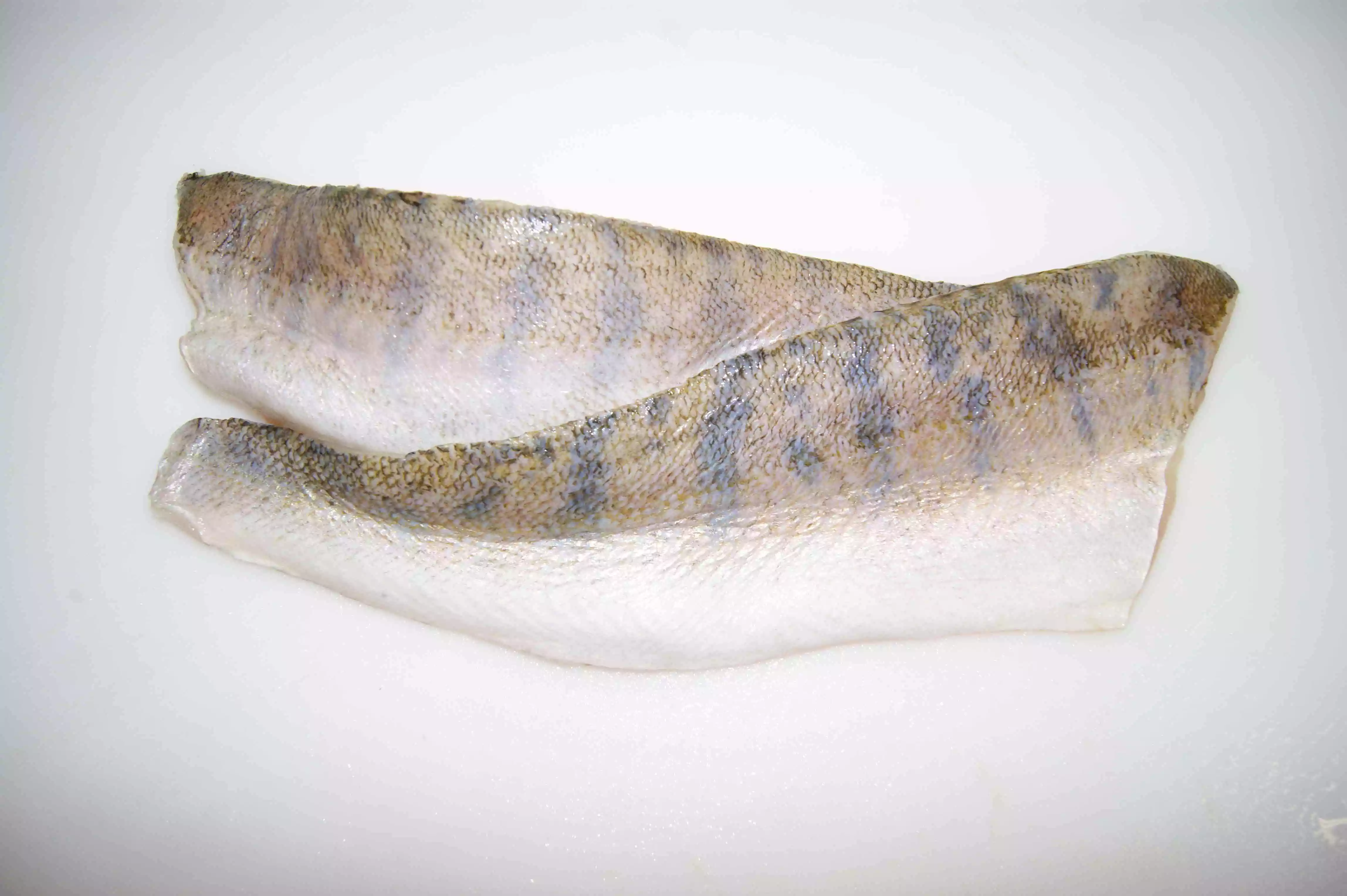 zwei rohe Seelachsfilets mit Haut auf weißem Untergrund