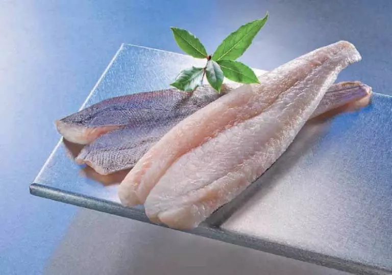 frisches Zanderfilet und Filet mit Haut auf Platte